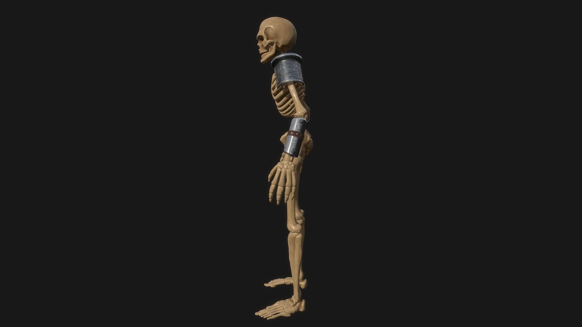 Skeleton Warrior Low-poly 3D model_4