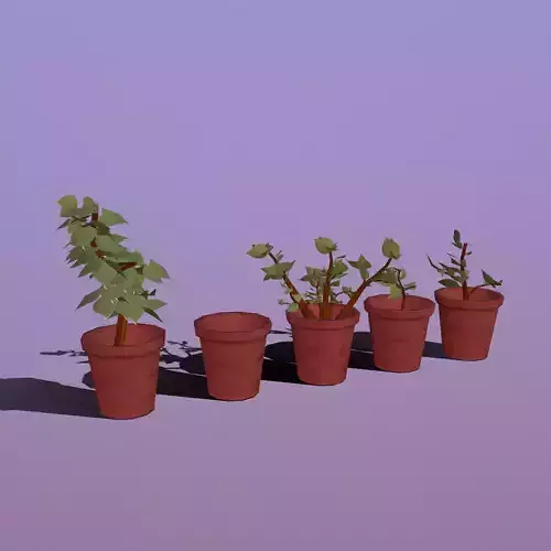 Stylize-Pots five potted plants in row Low-poly 3D model