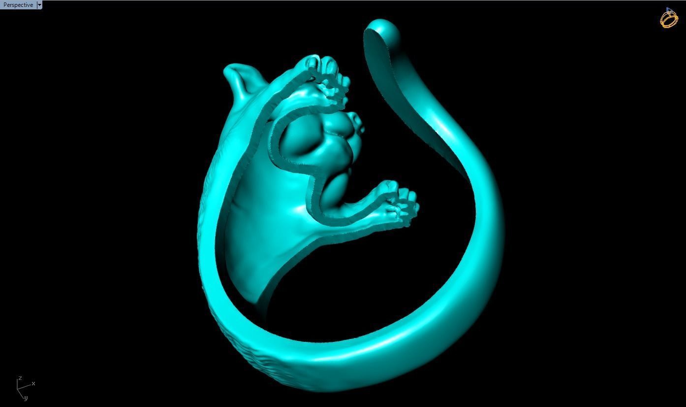 Cat rings 3D print model_16