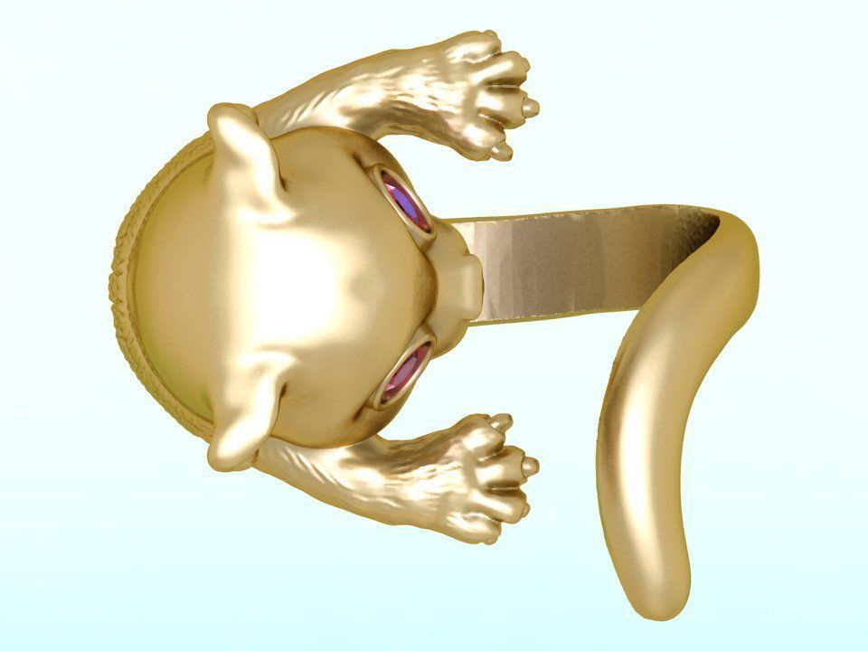 Cat rings 3D print model_6