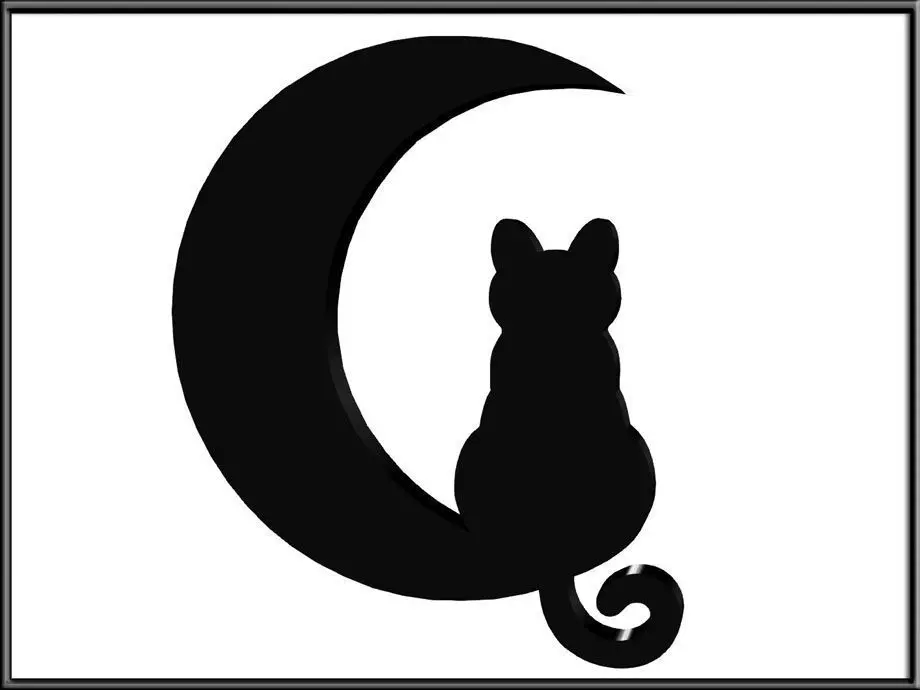 Cat moon Low-poly 3D model_0