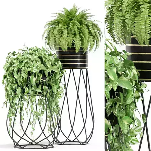 Plants collection 414