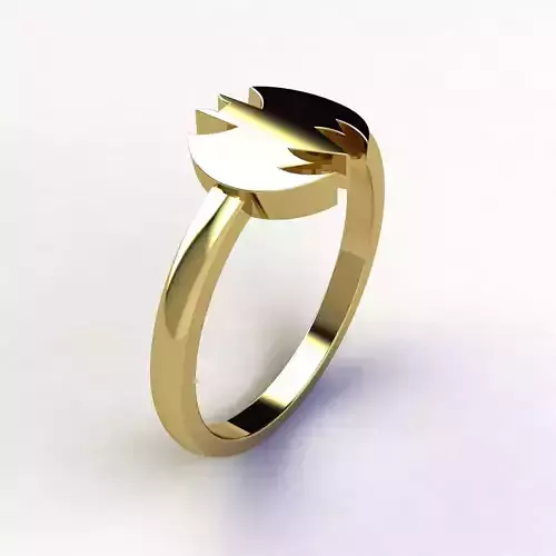 SJ RING 45