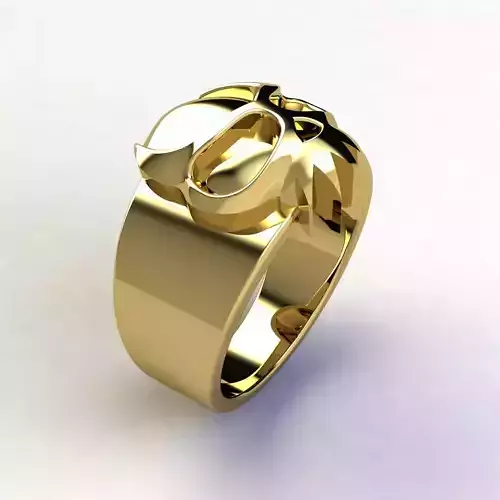 SJ RING 11