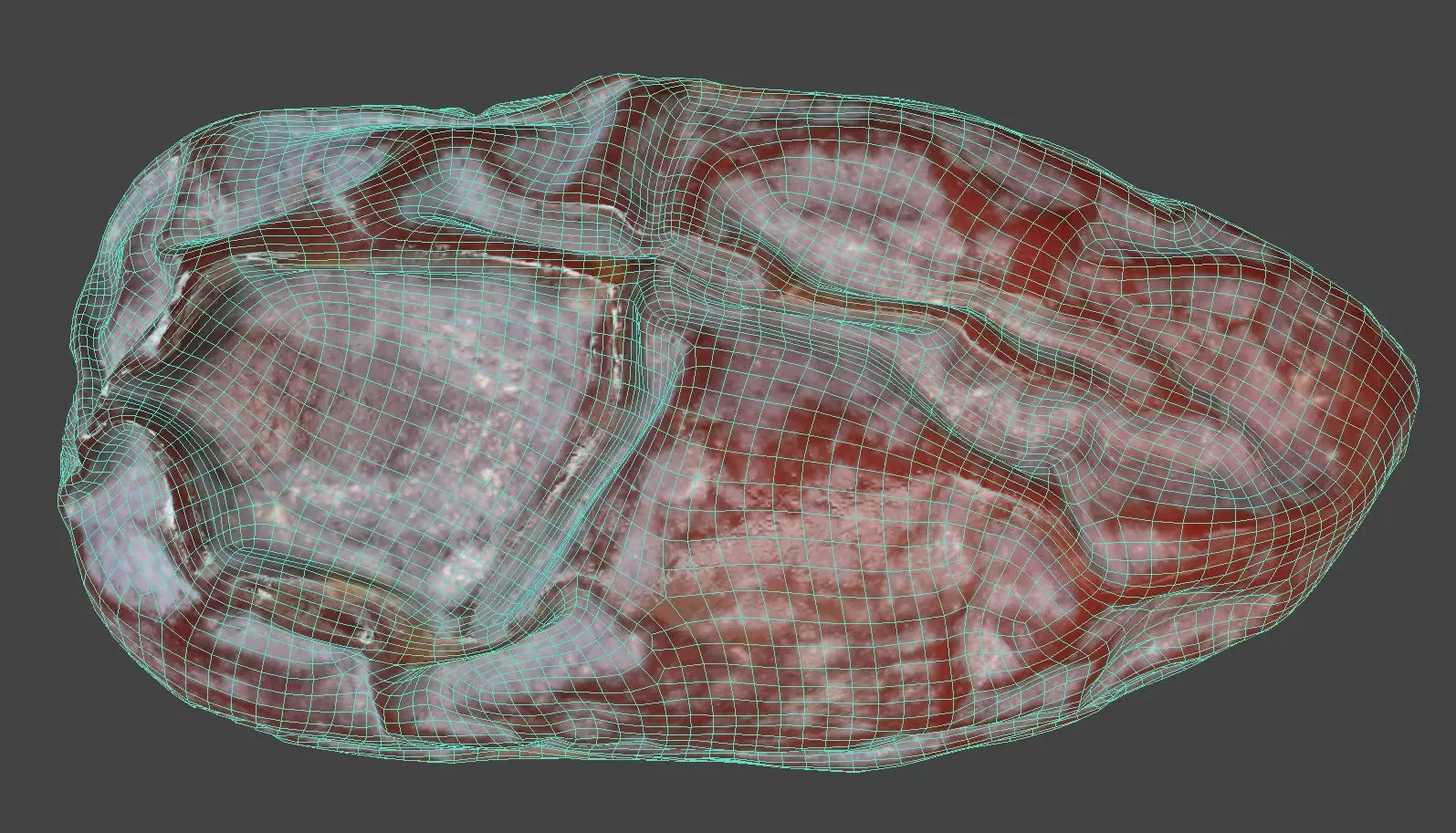 Dried Date 3D model_6