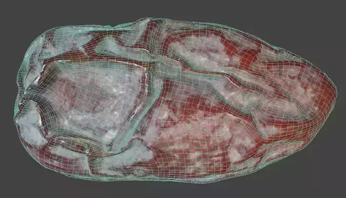 Dried Date 3D model 7