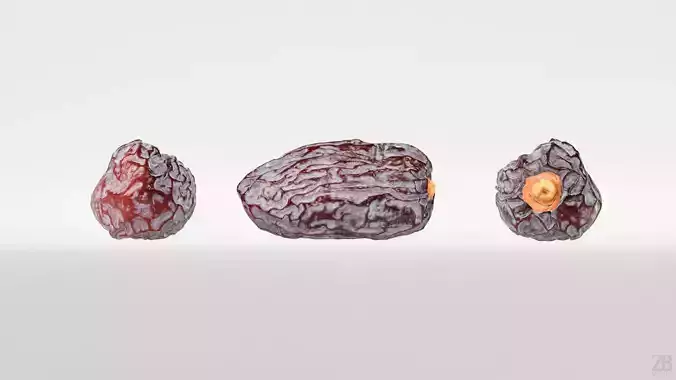Dried Date 3D model 5