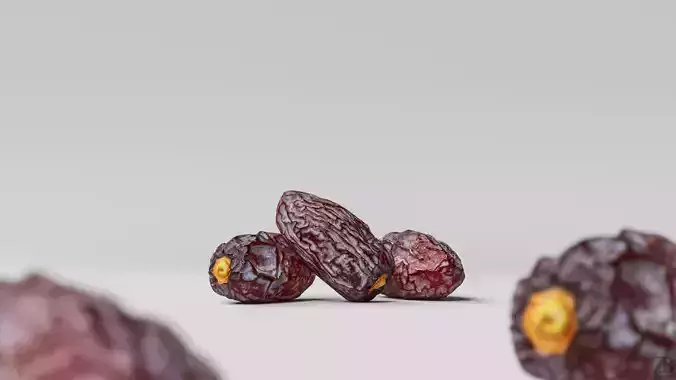 Dried Date 3D model
