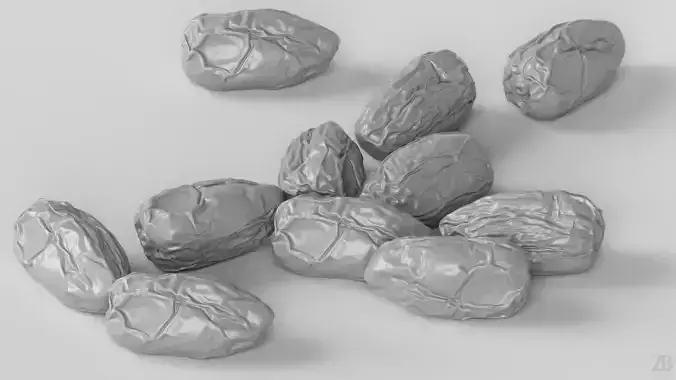Dried Date 3D model 4