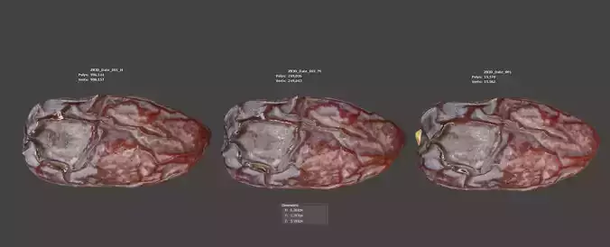 Dried Date 3D model 6