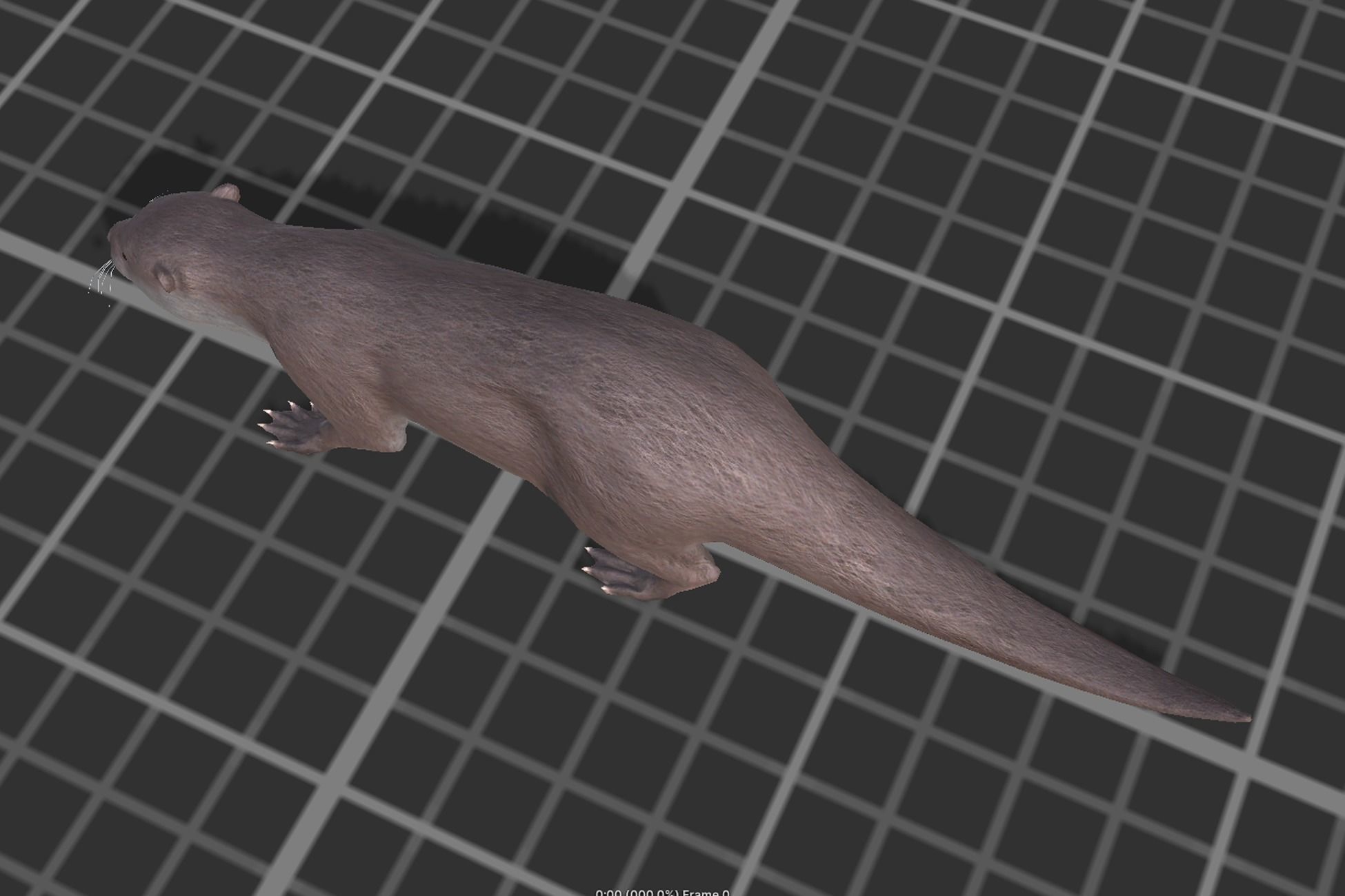 Otter Low-poly 3D model_4