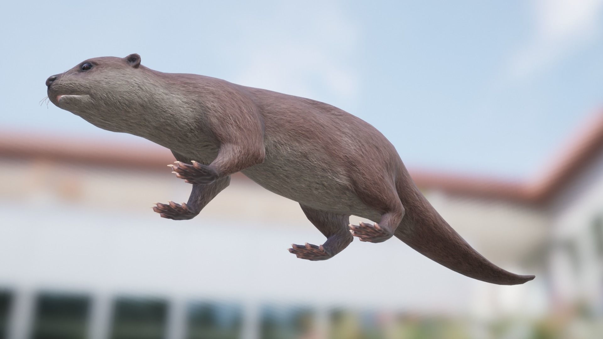 Otter Low-poly 3D model_11