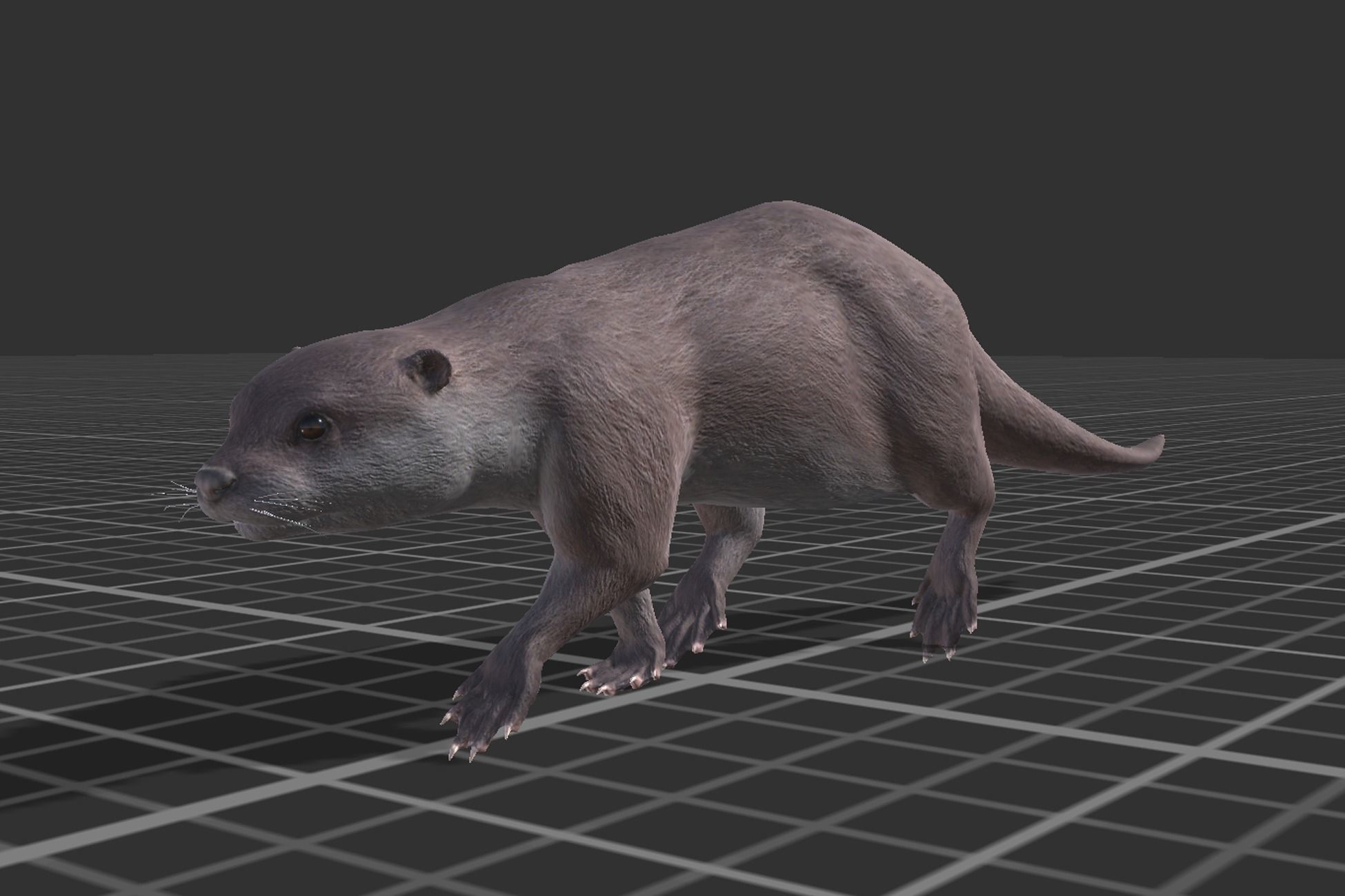 Otter Low-poly 3D model_7
