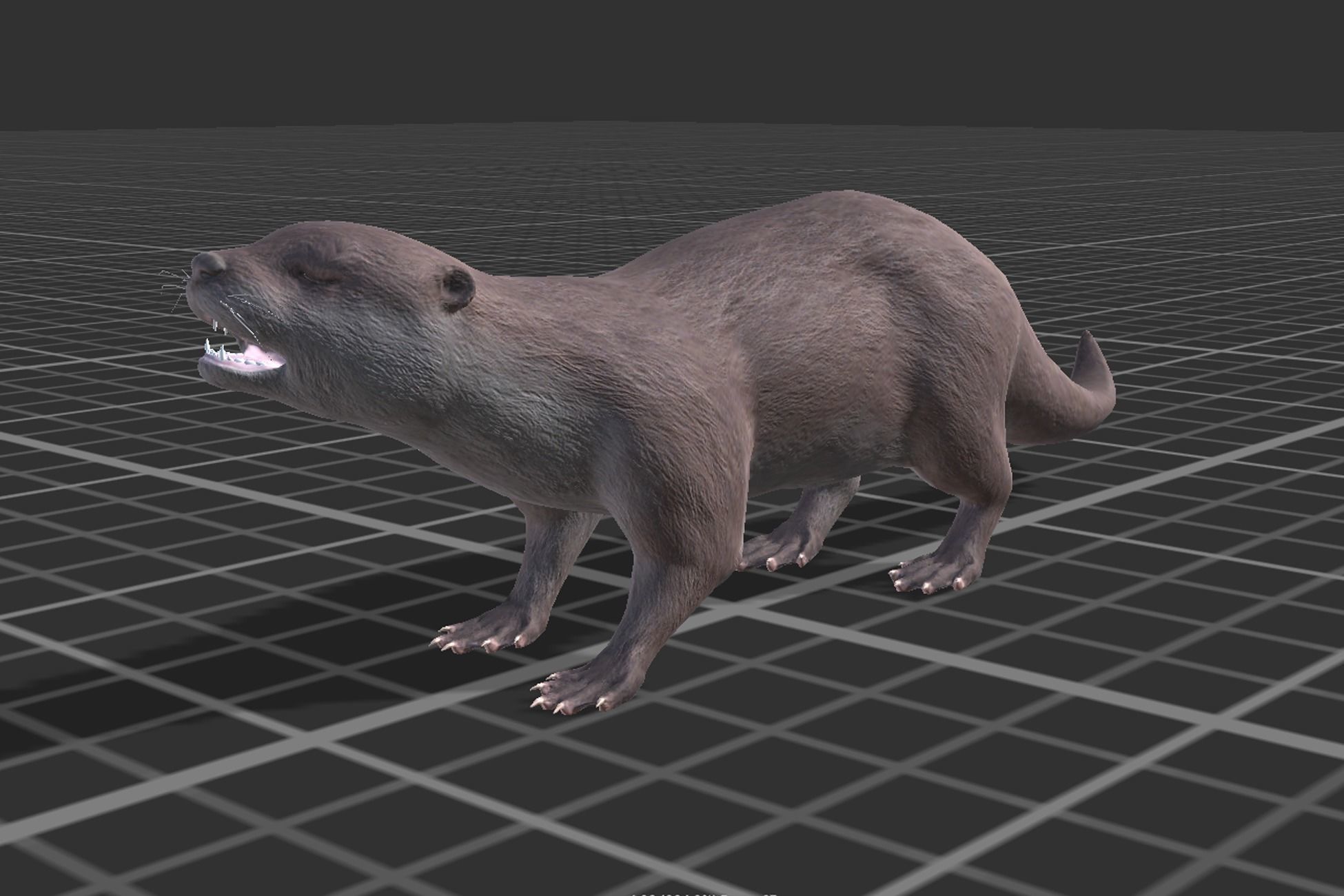 Otter Low-poly 3D model_6