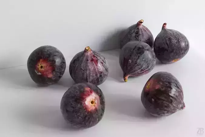 Fig   3D model