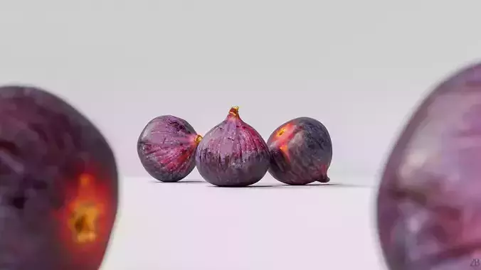 Fig   3D model