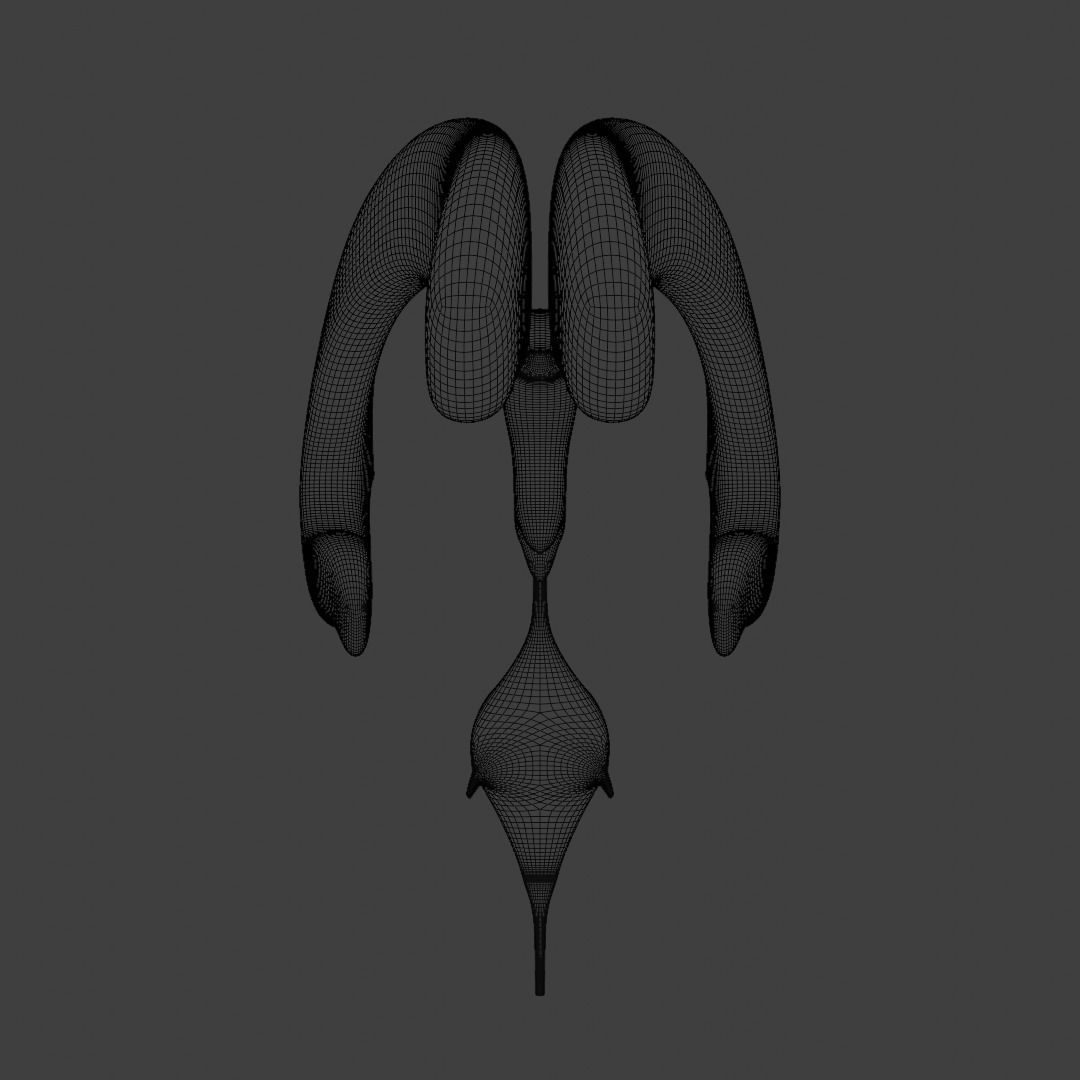 Ventricular system of the brain 3D model_7