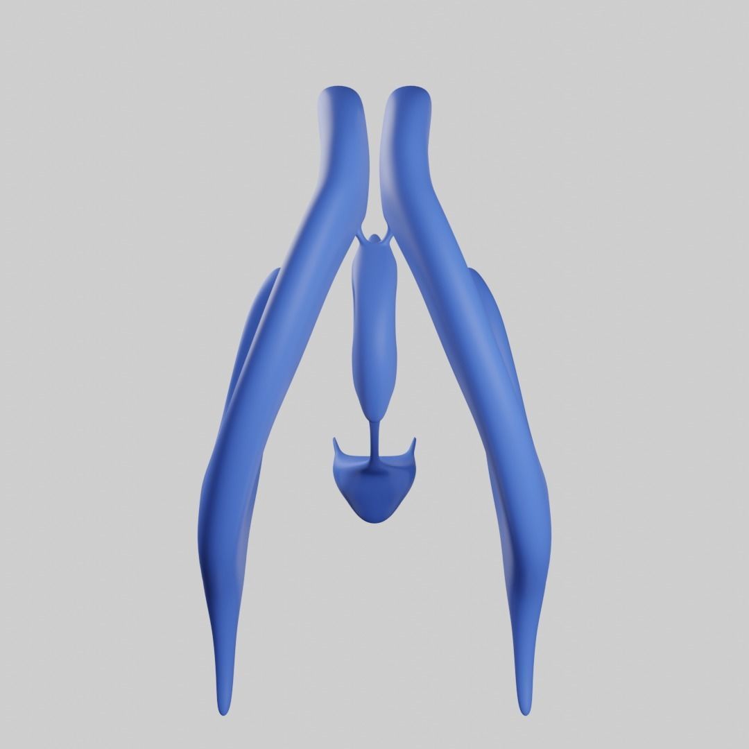 Ventricular system of the brain 3D model_3