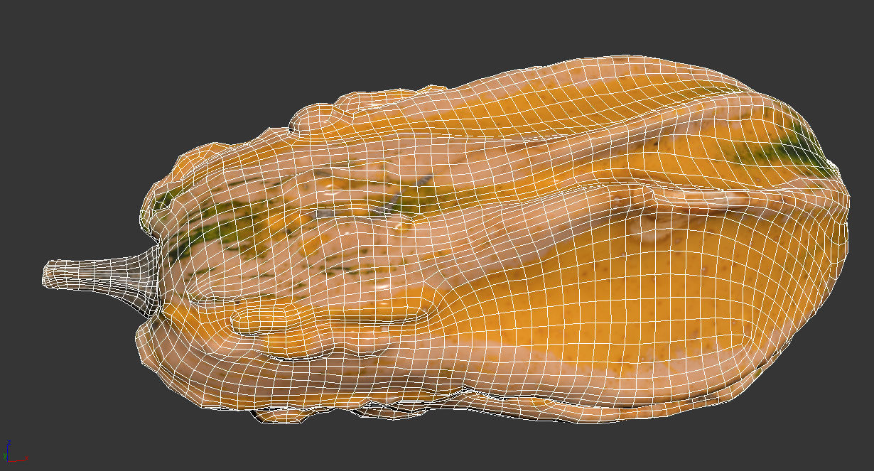 Pumpkin 3D model_7