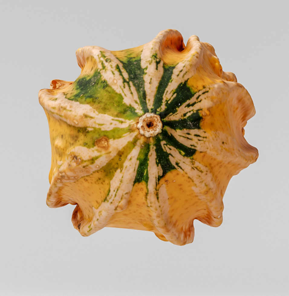 Pumpkin 3D model_4