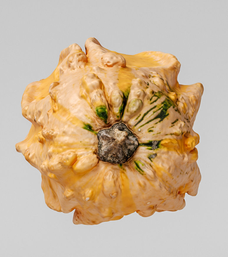 Pumpkin 3D model_6