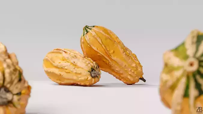 Pumpkin 3D model