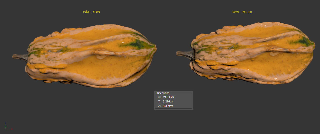 Pumpkin 3D model_8