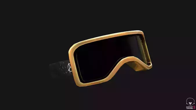 Biker Goggles