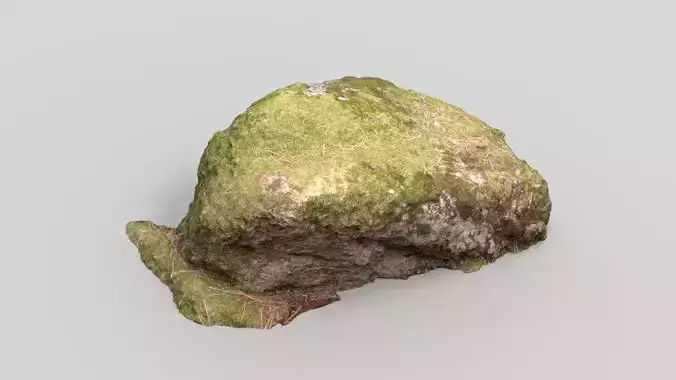 MOSS ROCK 4