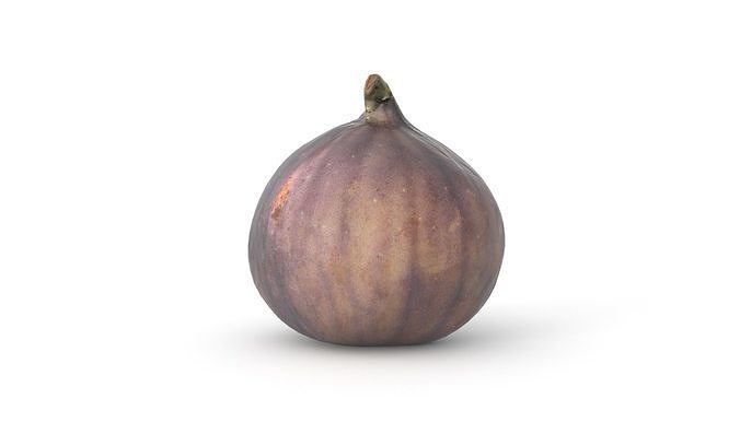 Fig Fruit Photoscan Low-poly 3D model 3