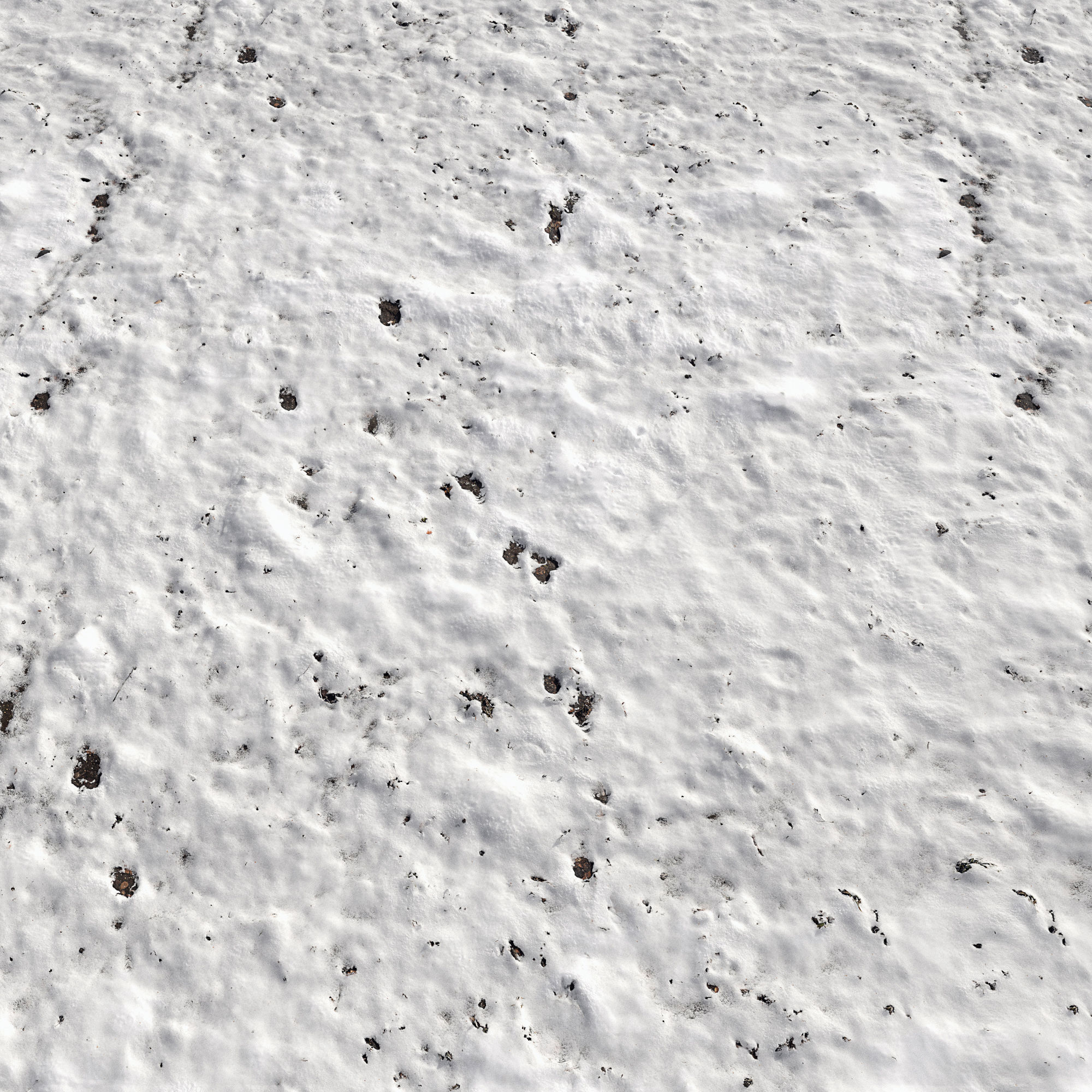 Snow ground Scan 10k 3D model_4
