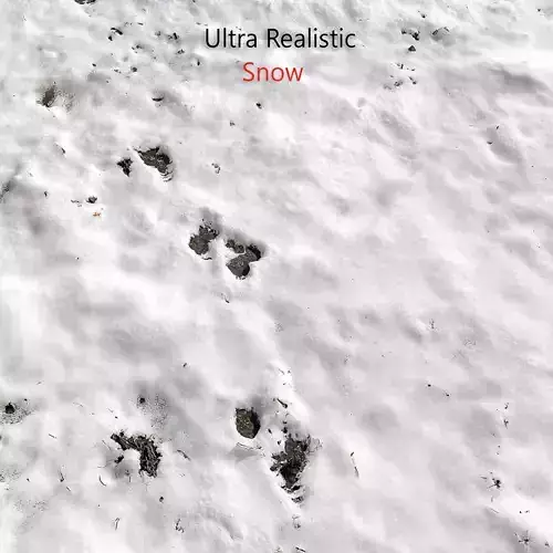 Snow ground Scan 10k 3D model