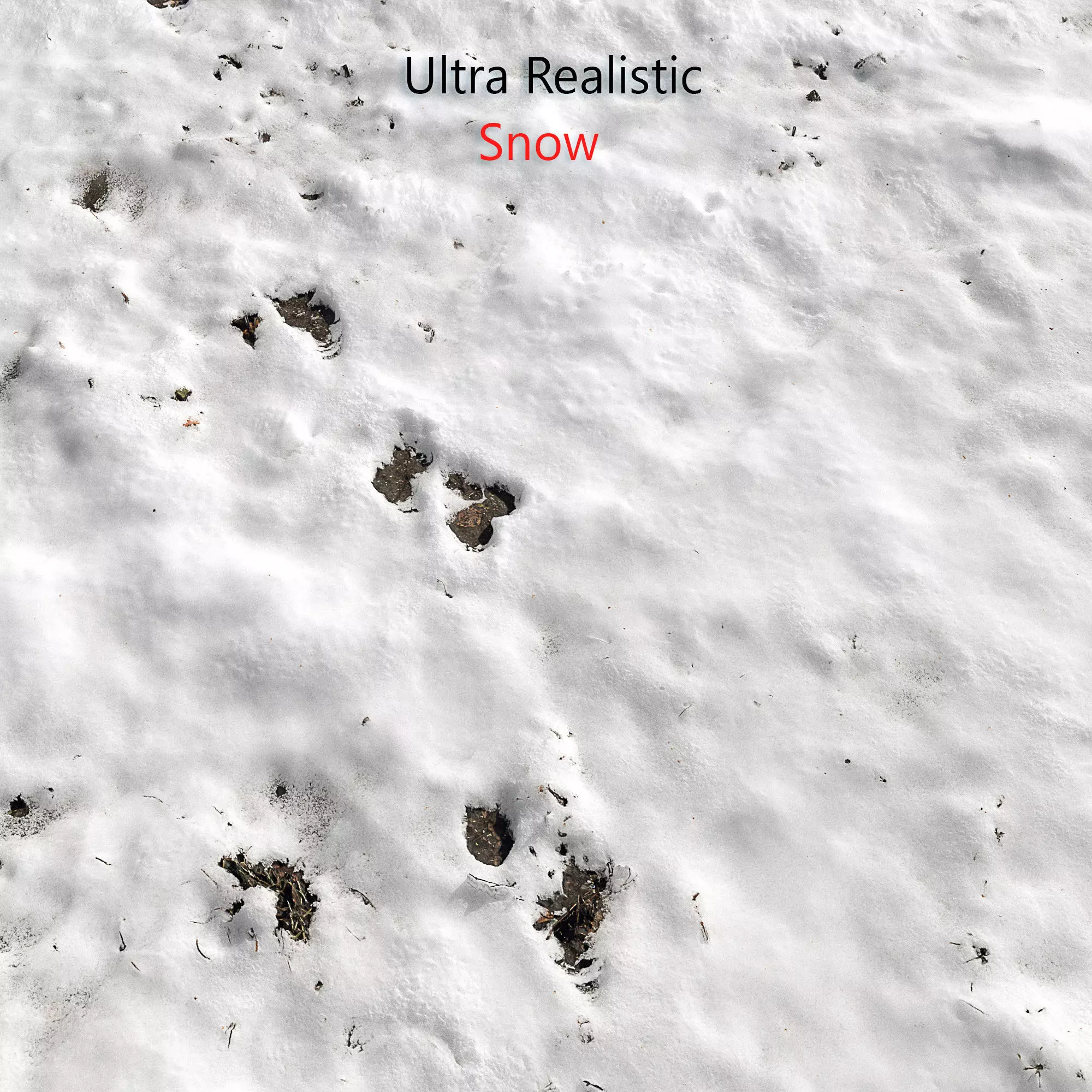 Snow ground Scan 10k 3D model_0