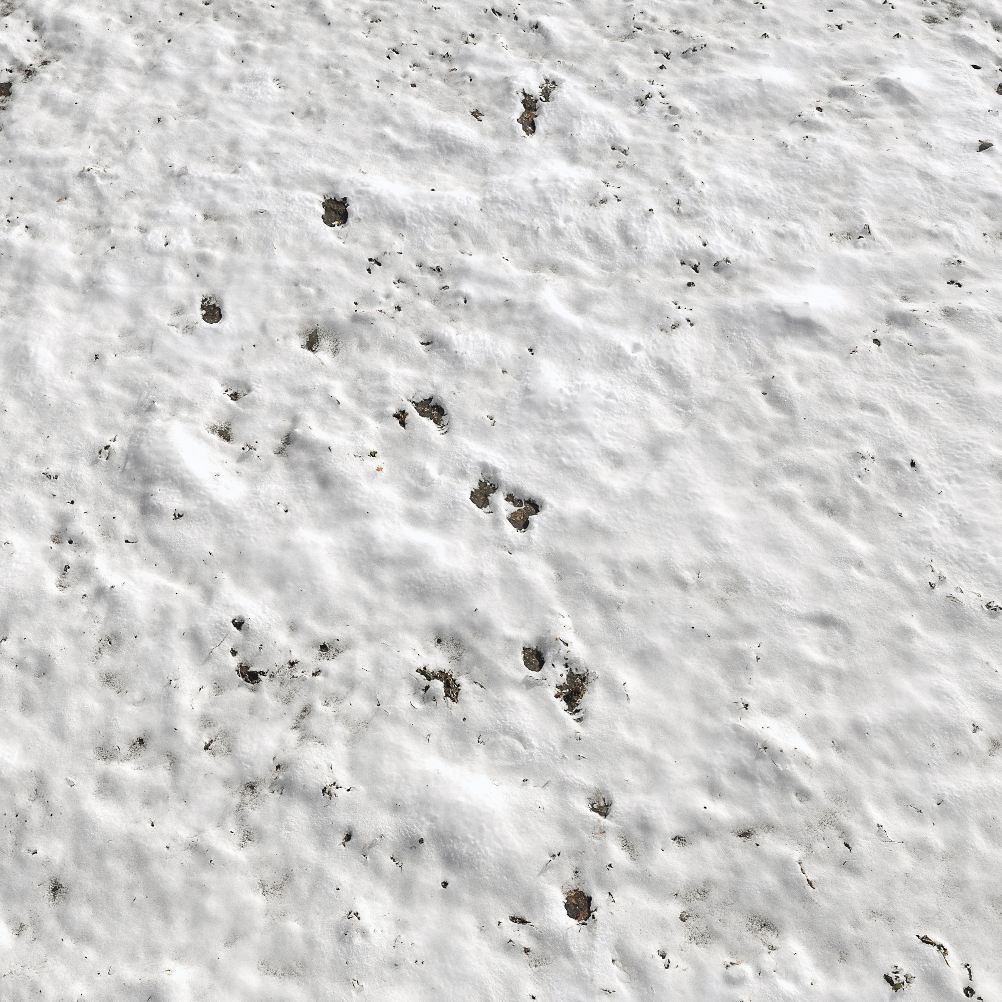 Snow ground Scan 10k 3D model_3