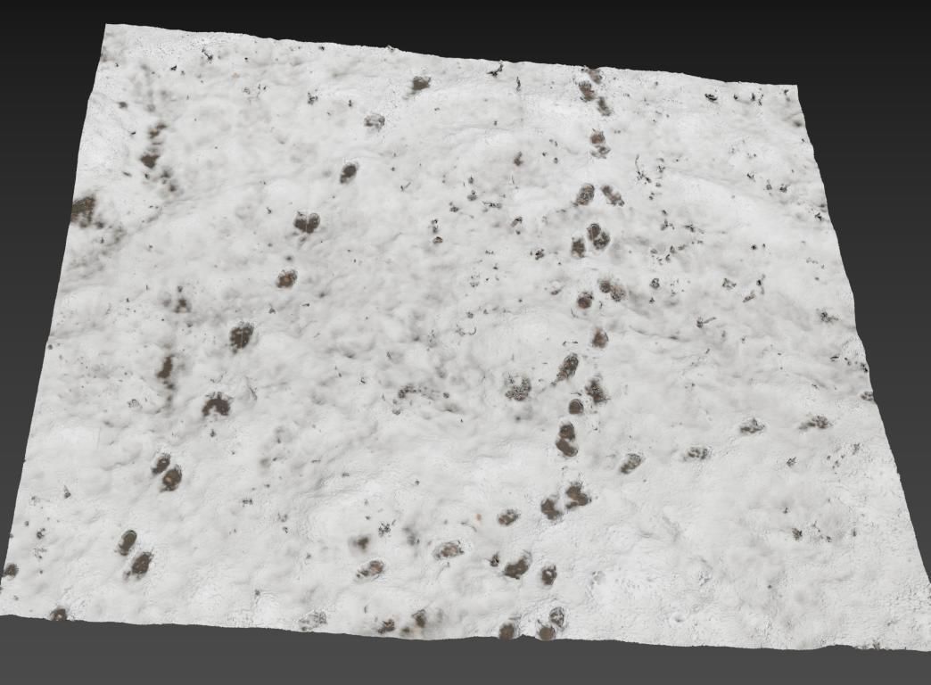 Snow ground Scan 10k 3D model_9