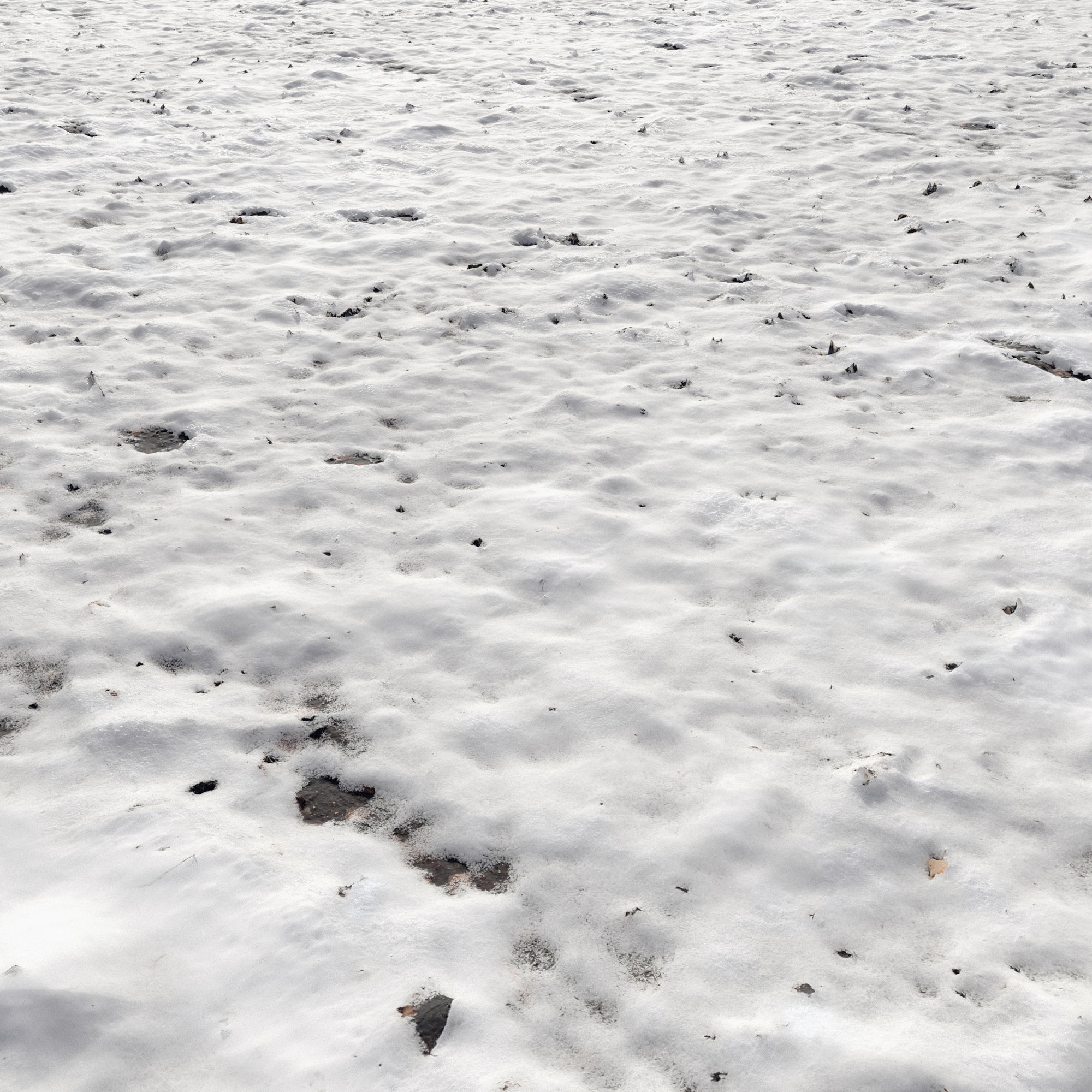 Snow ground Scan 10k 3D model_1