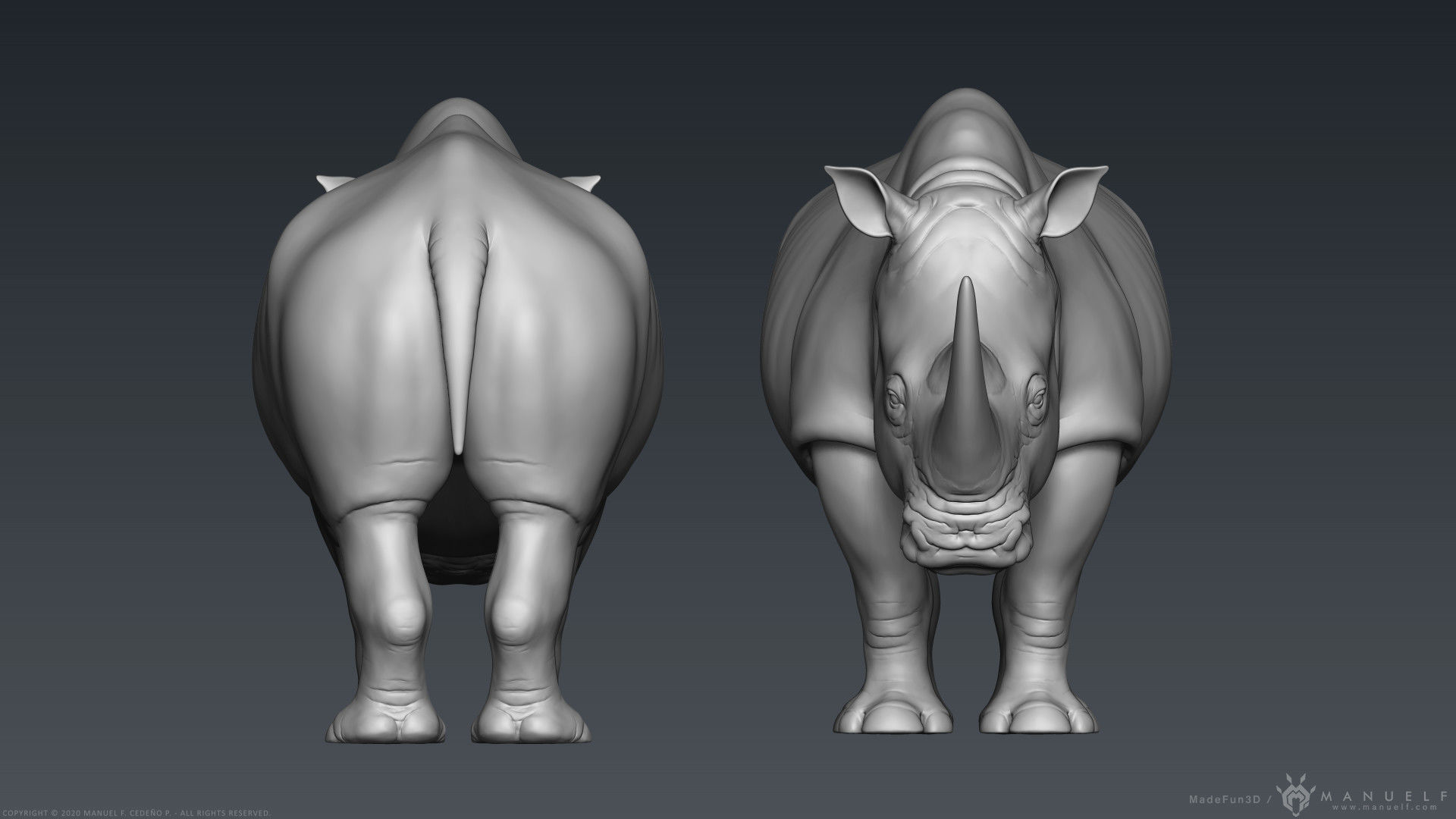White Rhinoceros - Highpoly Sculpture 3D model_6