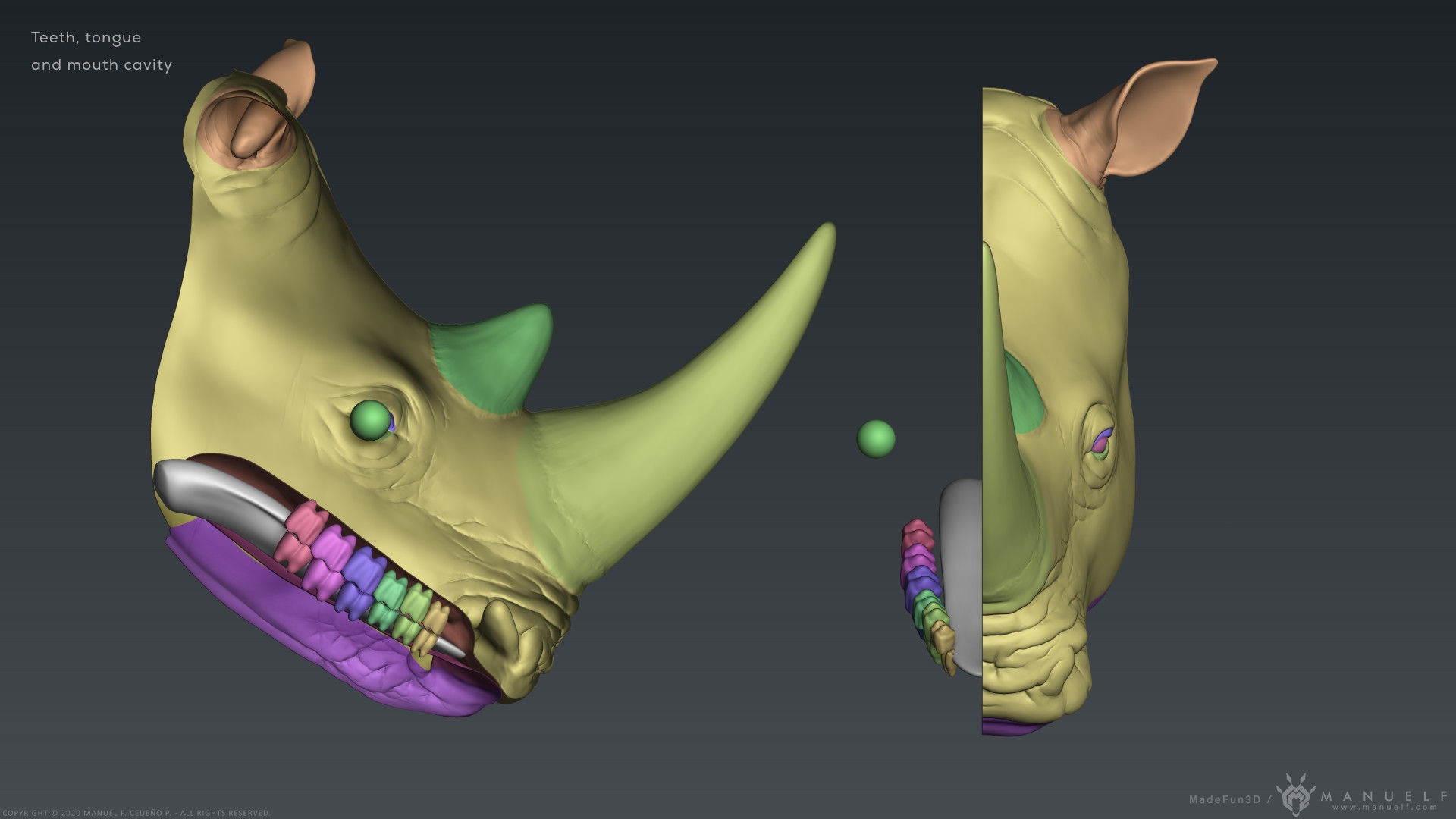 White Rhinoceros - Highpoly Sculpture 3D model_19