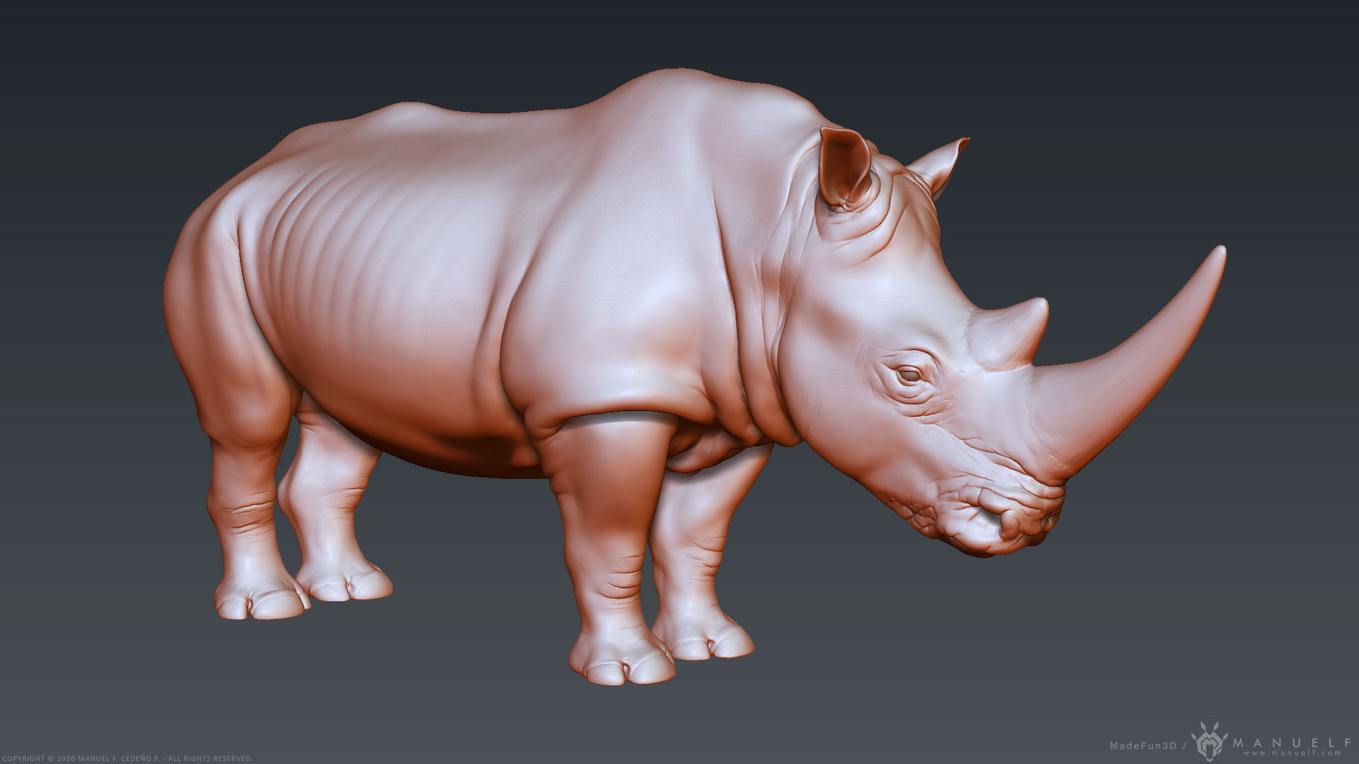 White Rhinoceros - Highpoly Sculpture 3D model_11