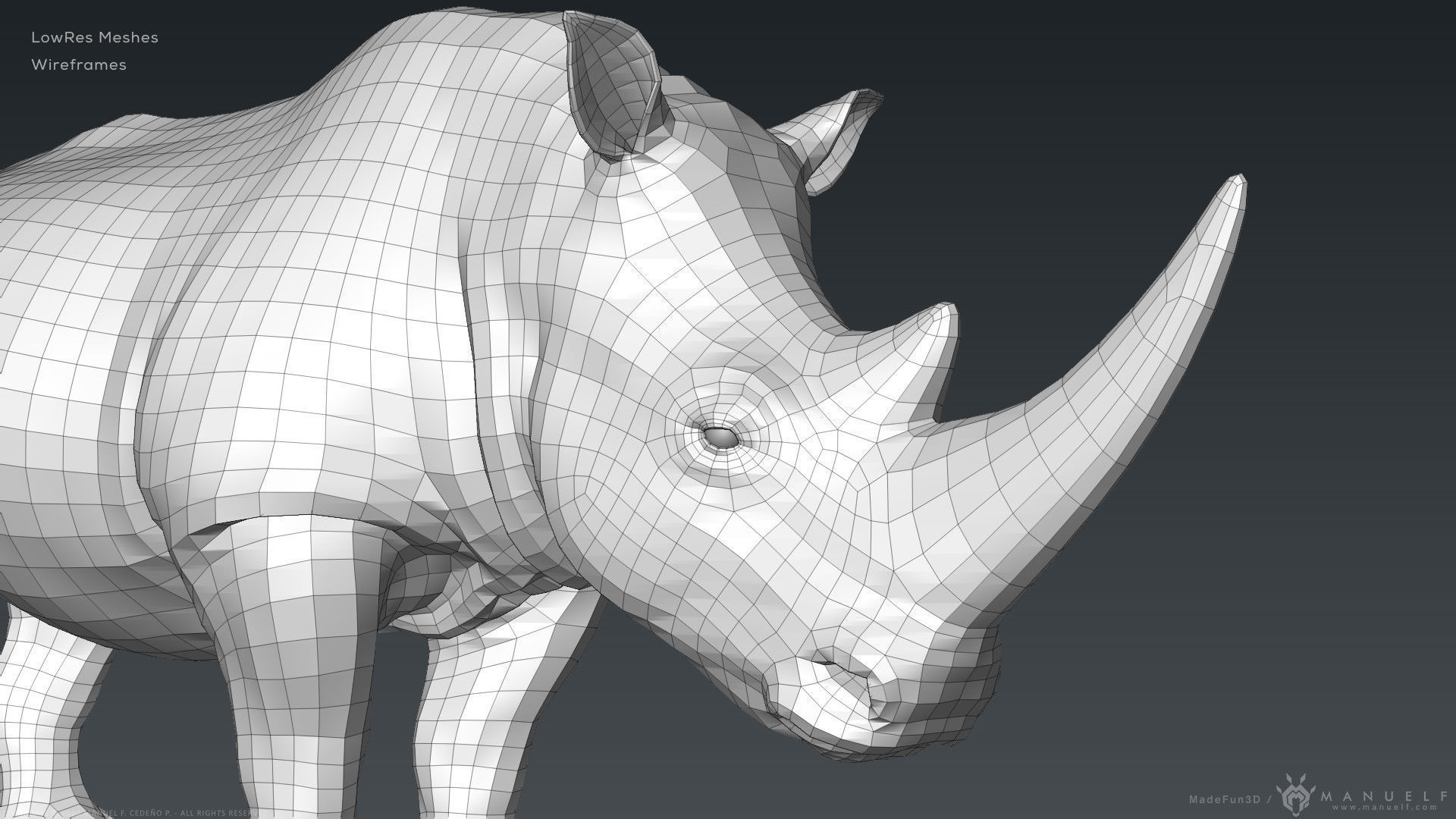 White Rhinoceros - Highpoly Sculpture 3D model_17