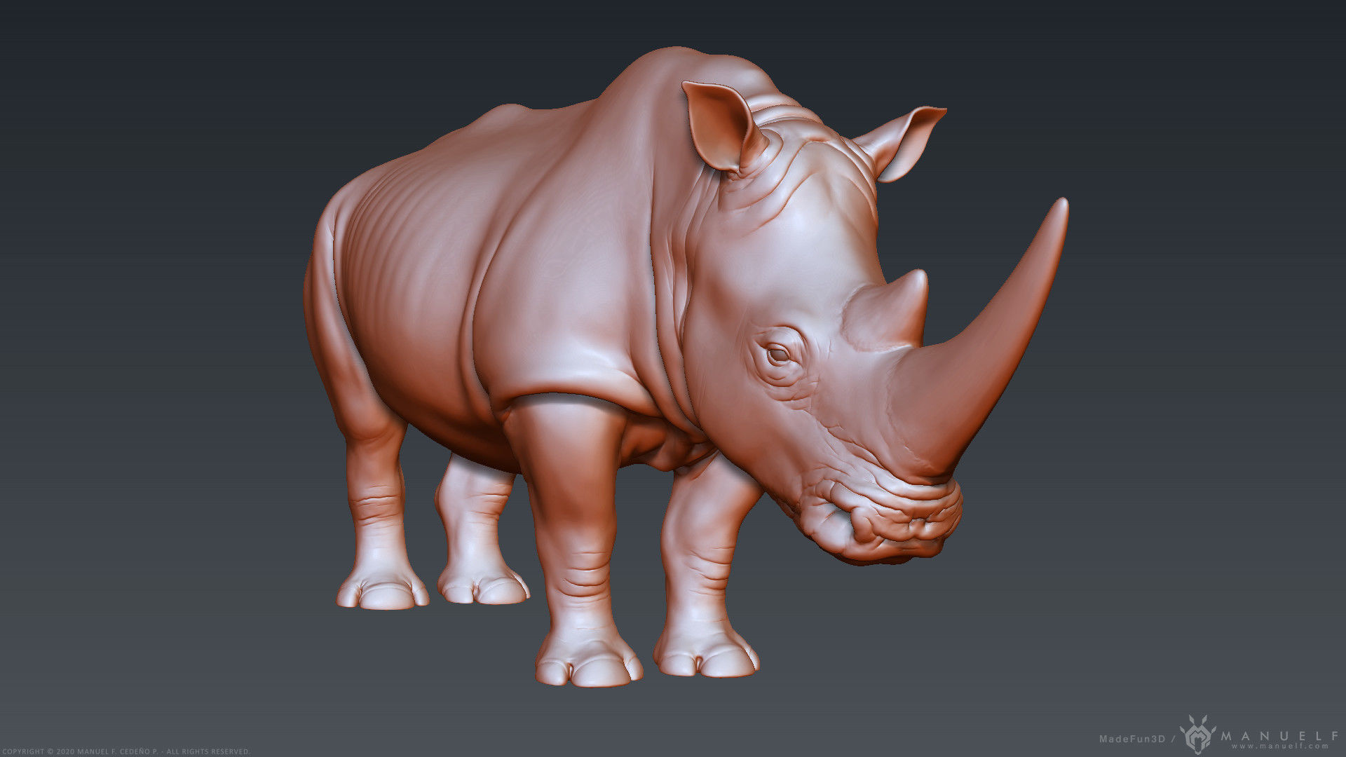 White Rhinoceros - Highpoly Sculpture 3D model_12