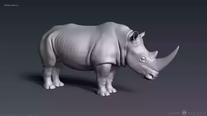 White Rhinoceros - Highpoly Sculpture 3D model