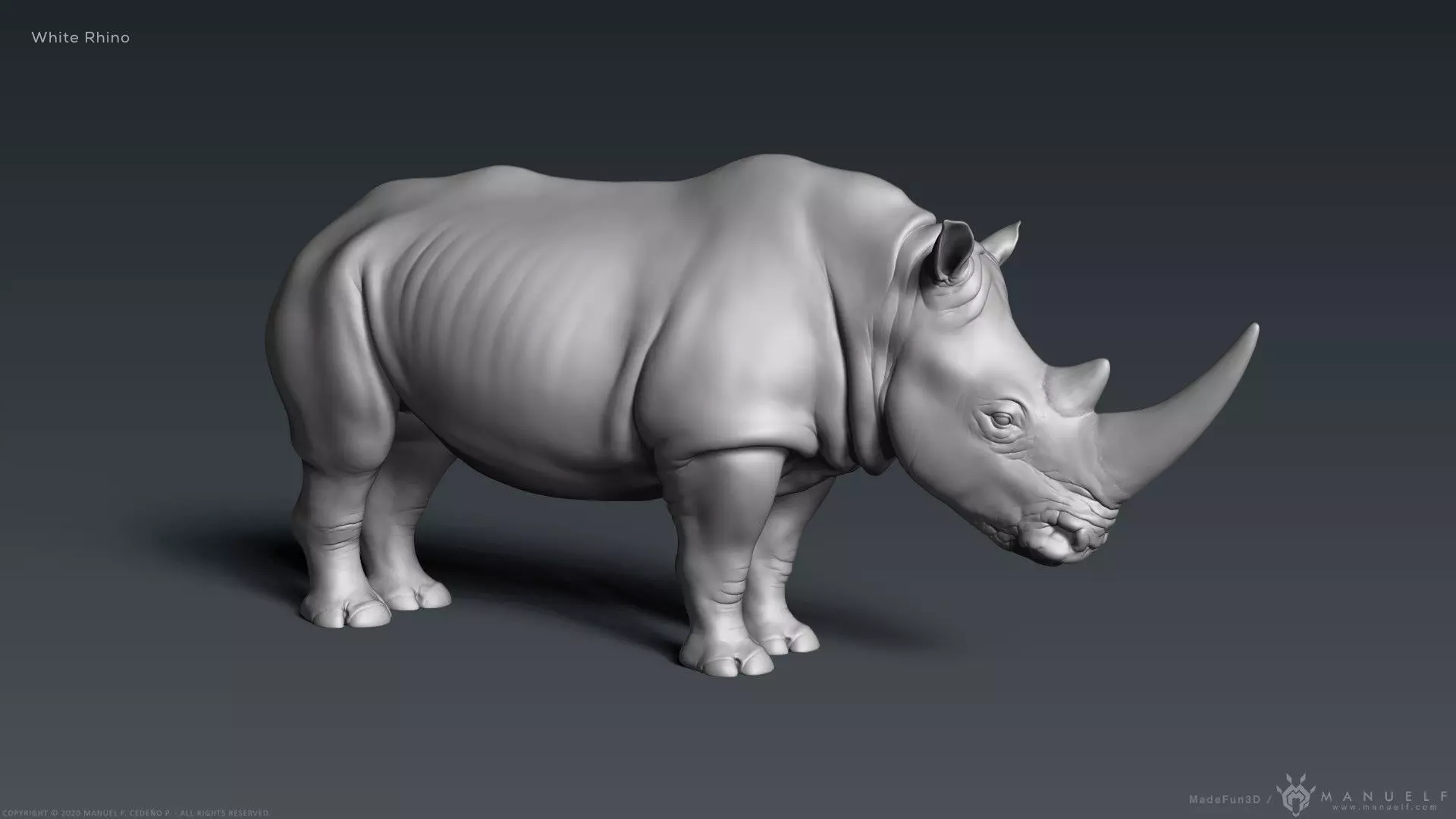 White Rhinoceros - Highpoly Sculpture 3D model_0