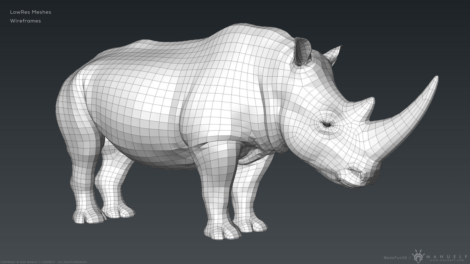White Rhinoceros - Highpoly Sculpture 3D model_15