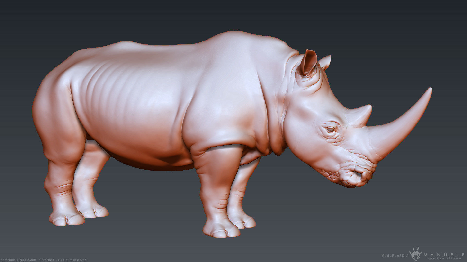 White Rhinoceros - Highpoly Sculpture 3D model_10