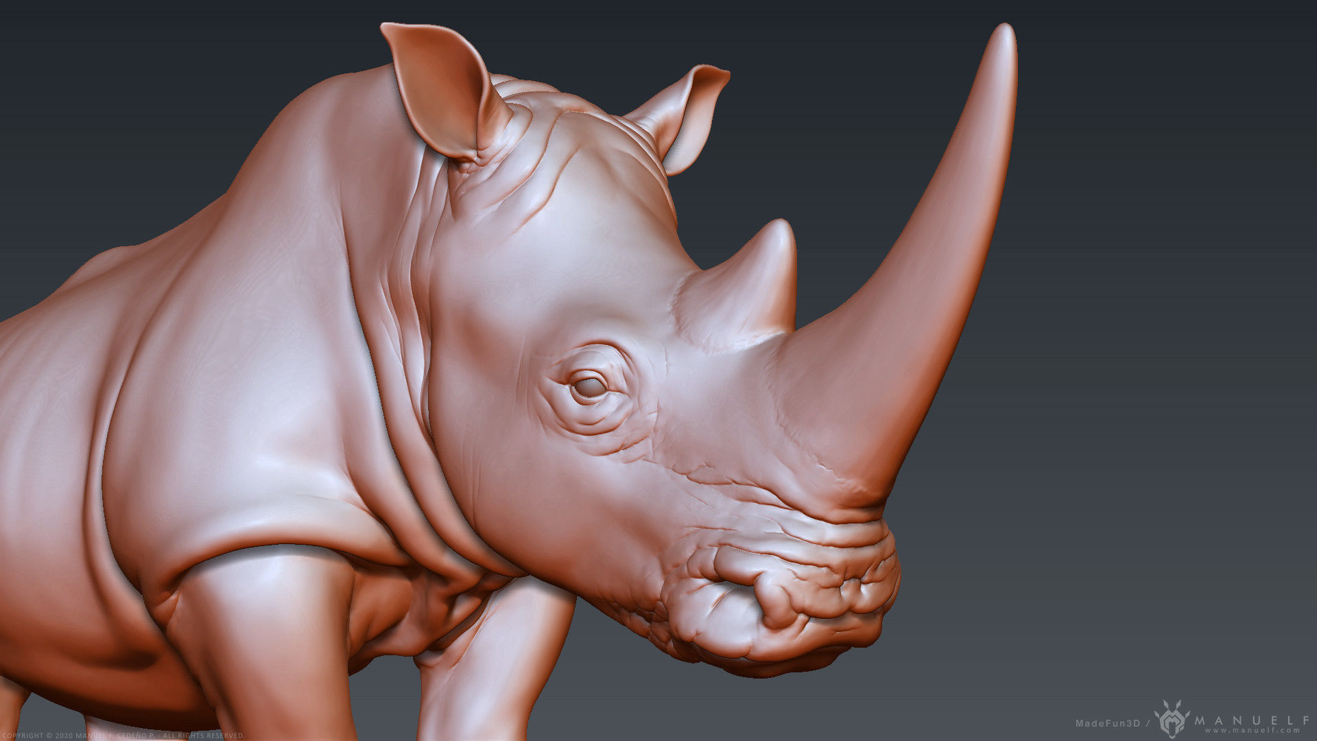 White Rhinoceros - Highpoly Sculpture 3D model_13