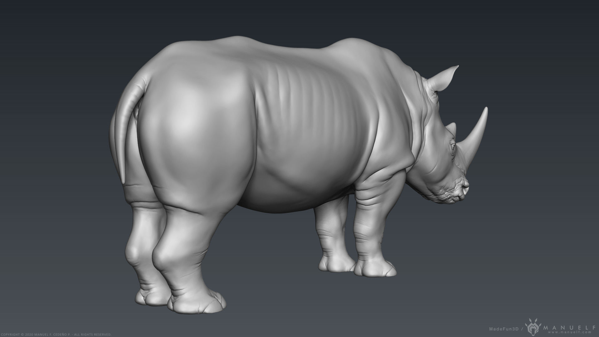 White Rhinoceros - Highpoly Sculpture 3D model_4