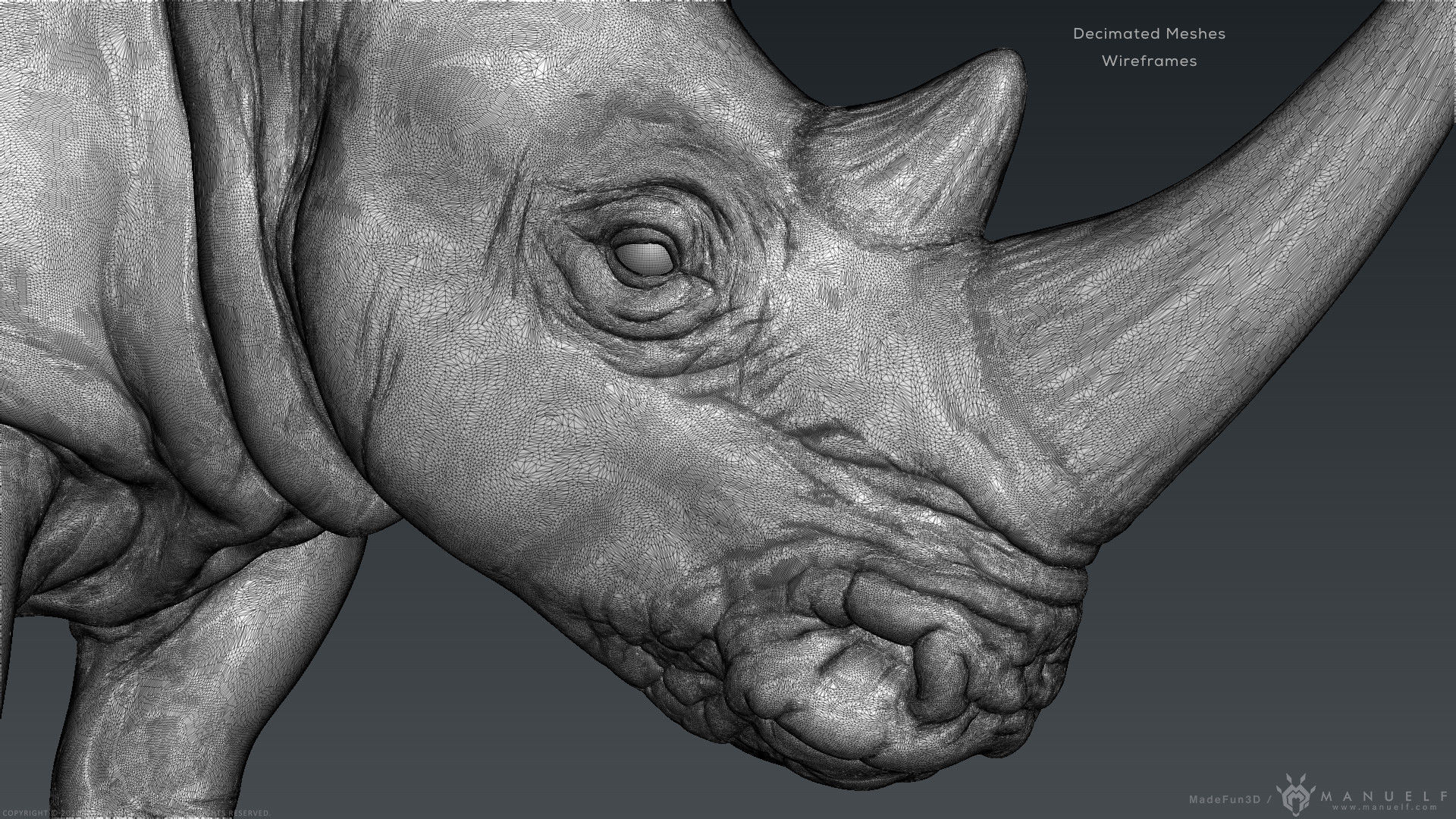 White Rhinoceros - Highpoly Sculpture 3D model_21