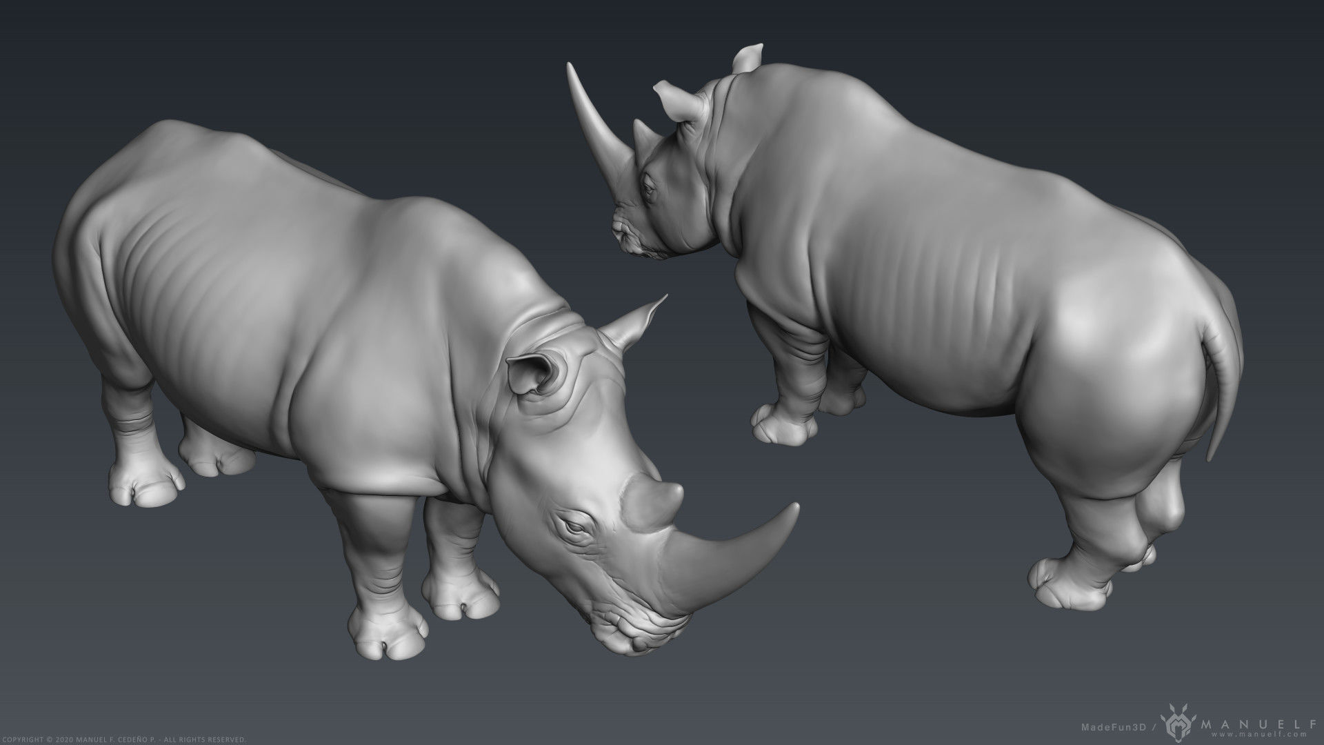 White Rhinoceros - Highpoly Sculpture 3D model_8
