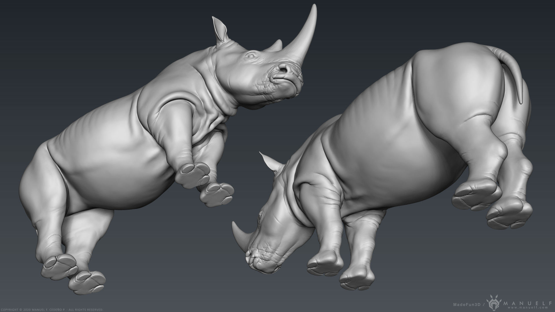 White Rhinoceros - Highpoly Sculpture 3D model_9